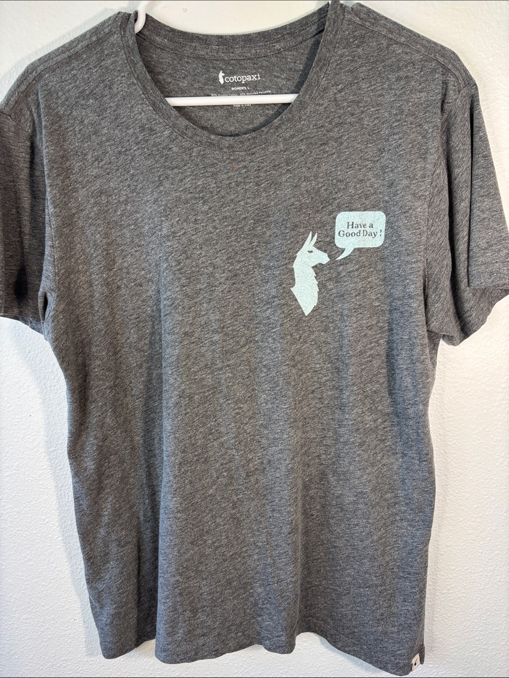 cotopaxi Gray Short Sleeve Tee with Mint Llama Graphic -686sku